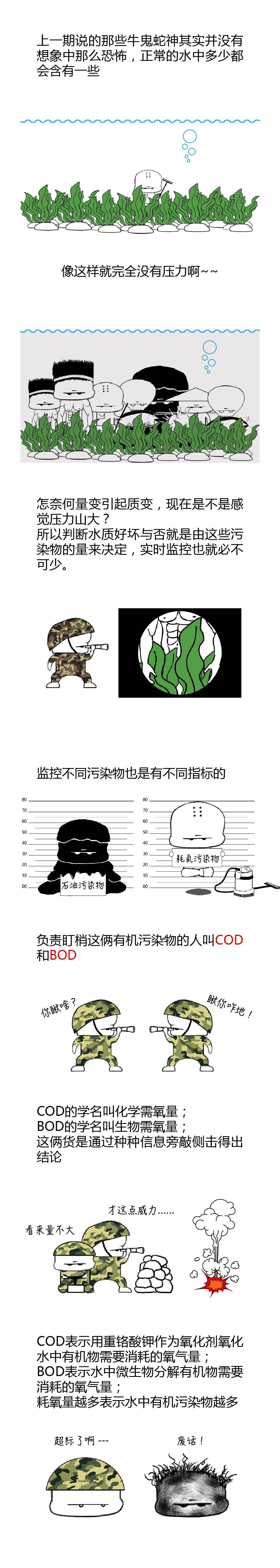 COD、BOD、TP、TN最接地氣的解釋